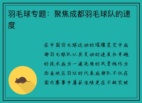 羽毛球专题：聚焦成都羽毛球队的速度